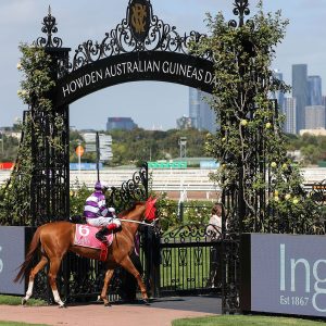 Oseries---VRC-Mounting-Yard